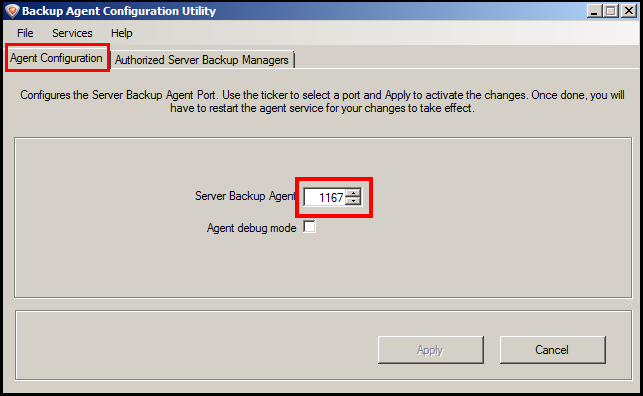 Installing and Configuring Backup Agent for Windows.