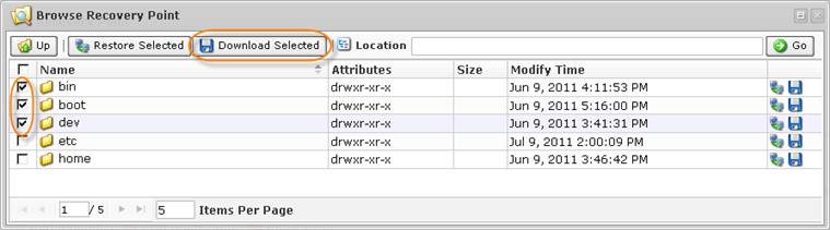 restorefiles-downloadselectedfiles.png