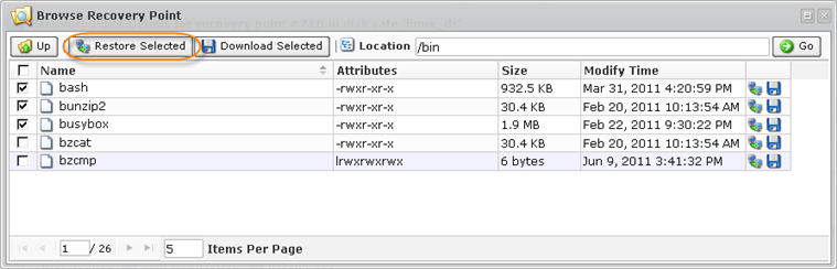 restorefiles-restoreselected.png
